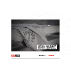 Carbon Fiber Gamma Maggiolina Autohome